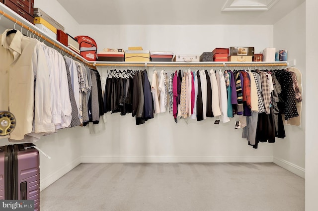 walk in closet featuring carpet floors