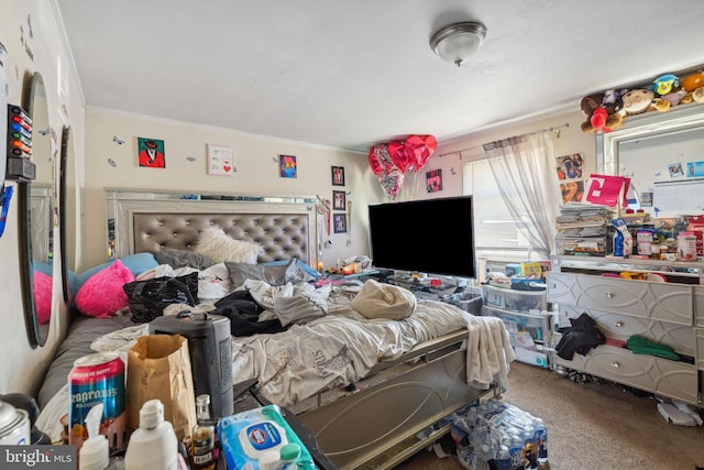 bedroom with carpet floors