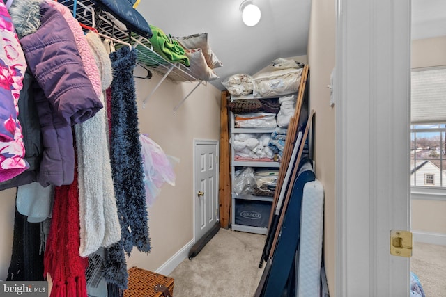 walk in closet featuring carpet flooring