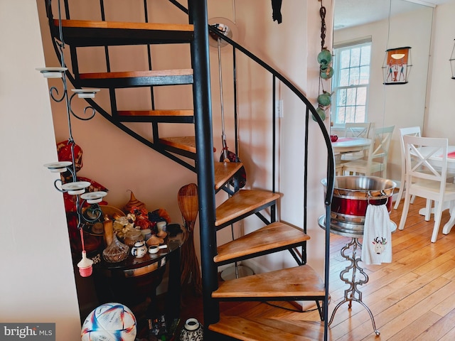 staircase with wood finished floors