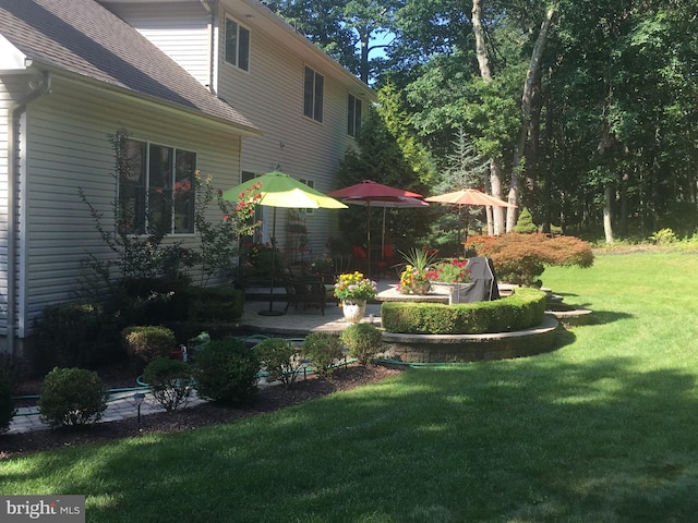 view of yard with a patio