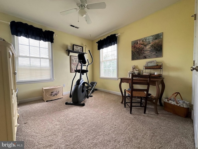 workout room with carpet floors, a wealth of natural light, visible vents, and baseboards