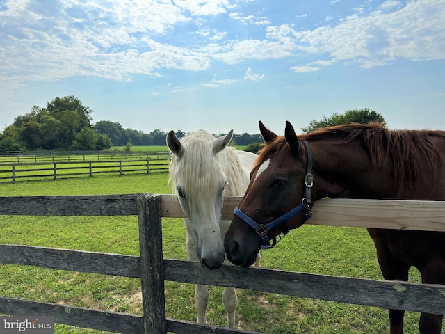 view of horse barn with a rural view