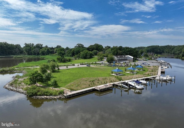 bird's eye view featuring a water view