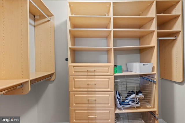 view of spacious closet