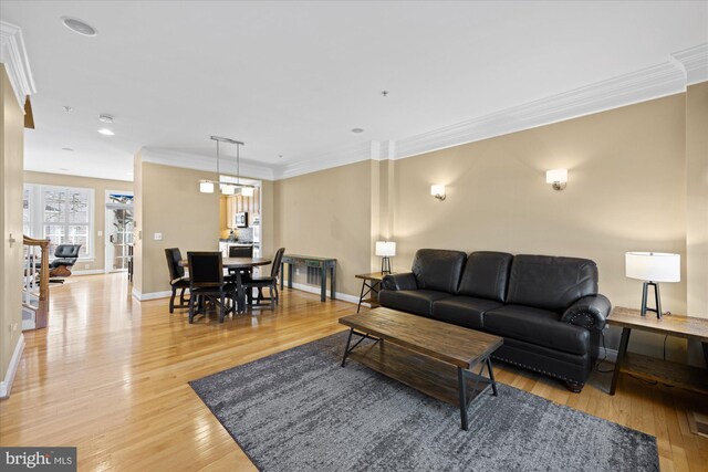 living room featuring baseboards, light wood-style floors, and ornamental molding