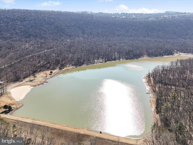 drone / aerial view with a water view and a wooded view