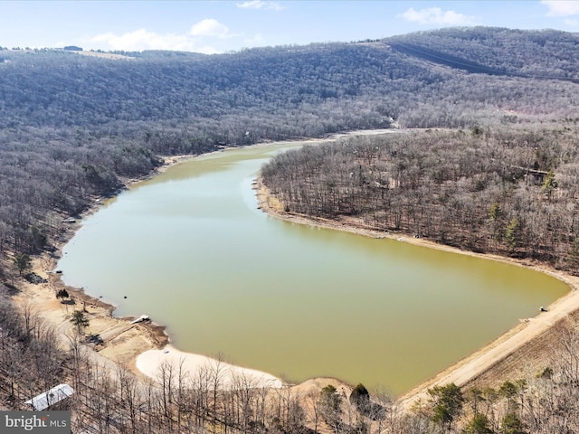 bird's eye view featuring a water view and a view of trees