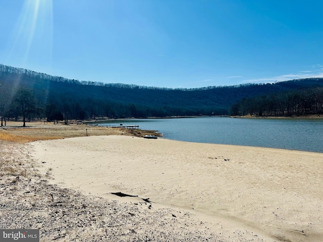 property view of water with a wooded view