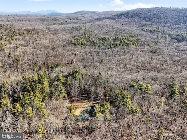 birds eye view of property featuring a forest view and a mountain view