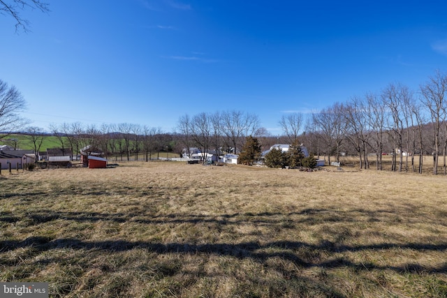 view of yard with a rural view