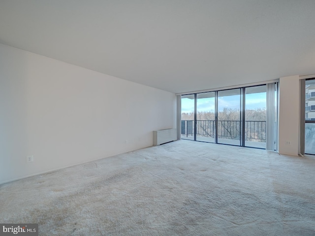 unfurnished room featuring carpet floors and a wall of windows