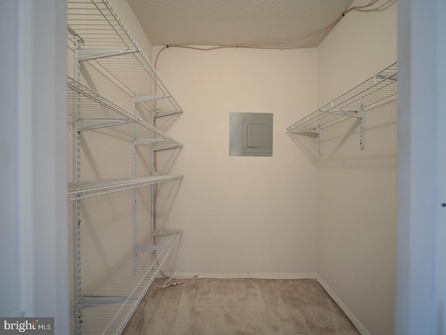 spacious closet with carpet floors and electric panel