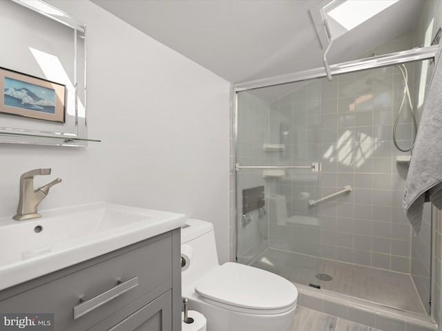 bathroom with vaulted ceiling, a shower stall, toilet, and vanity