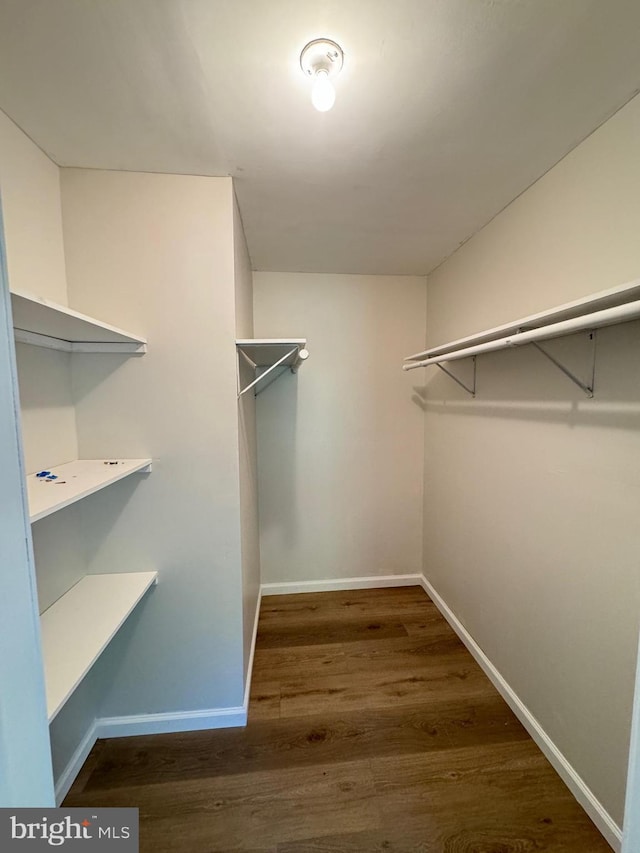 walk in closet with wood finished floors