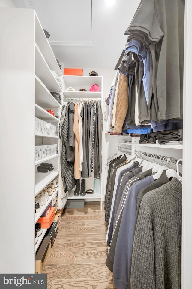 spacious closet with wood finished floors