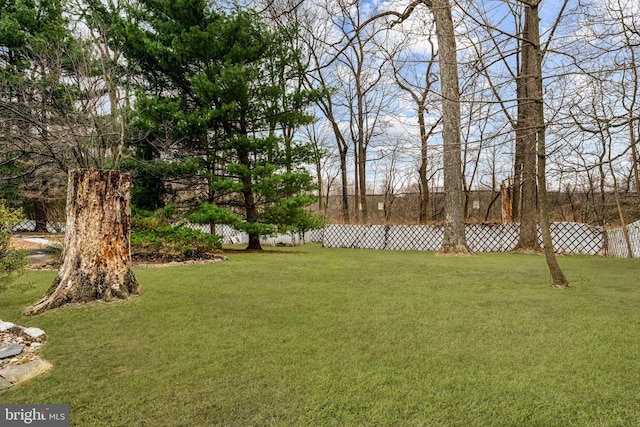 view of yard with fence