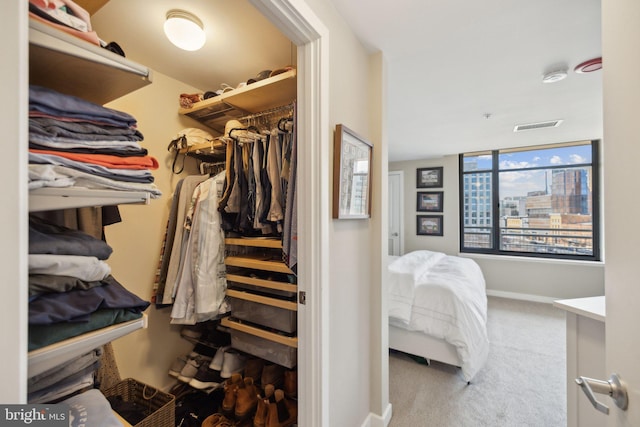 spacious closet featuring carpet flooring and visible vents