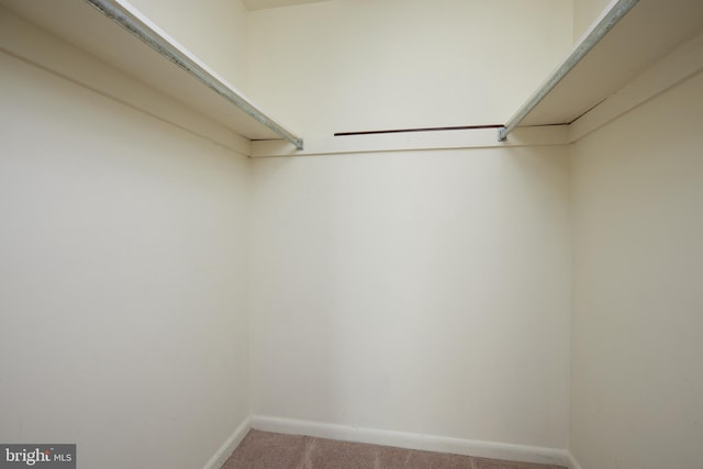 13213 Dairymaid Dr Unit 20, Germantown, MD 20874 - spacious closet featuring carpet flooring