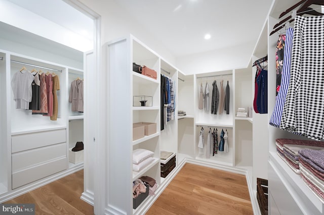 walk in closet featuring wood finished floors