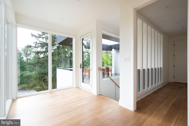 doorway featuring light wood-style flooring and a healthy amount of sunlight