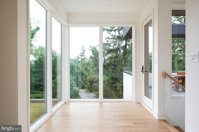 doorway to outside featuring wood finished floors