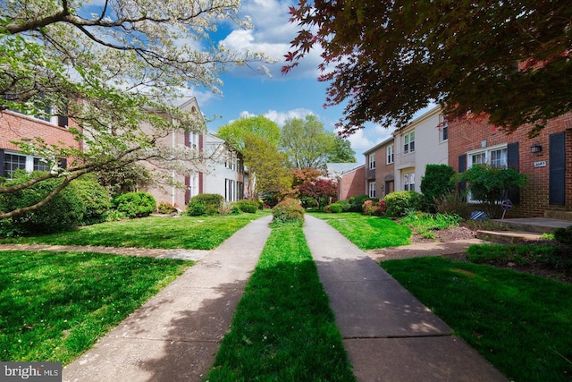 view of community featuring a lawn