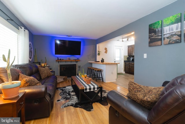 living room featuring light wood-style flooring and a fireplace