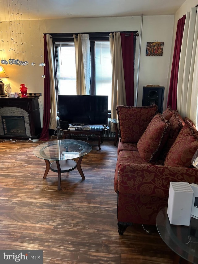 living area with a stone fireplace and wood finished floors