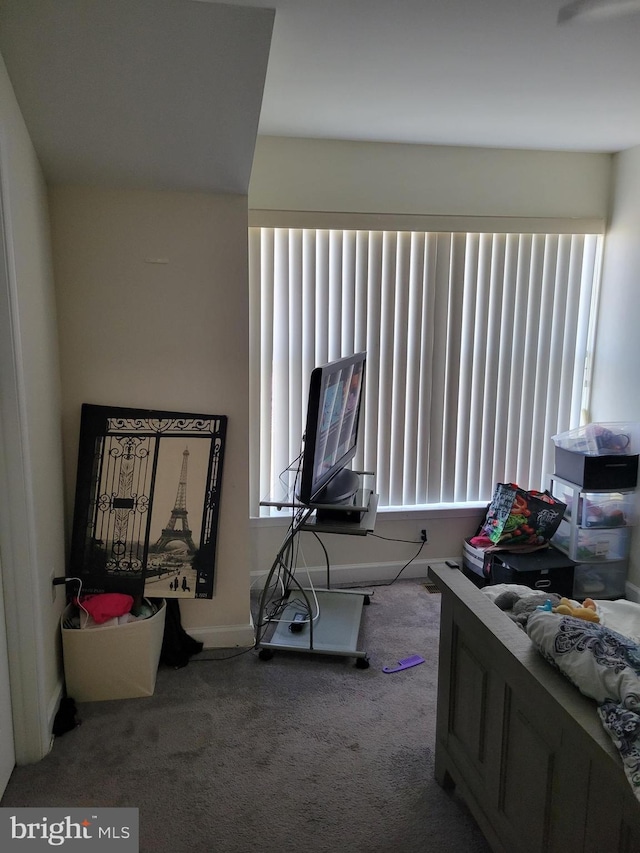 bedroom featuring carpet floors and multiple windows