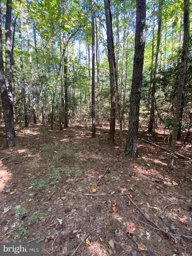 LOT46 Riverwood Dr, Lancaster VA, 22503 land for sale