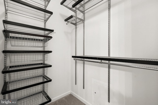 walk in closet featuring carpet floors