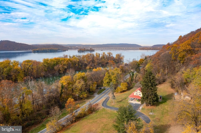 bird's eye view with a water view and a view of trees