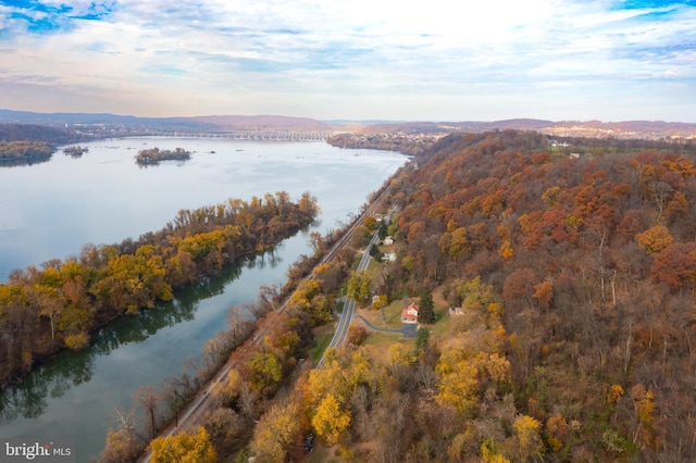 drone / aerial view with a water view and a wooded view