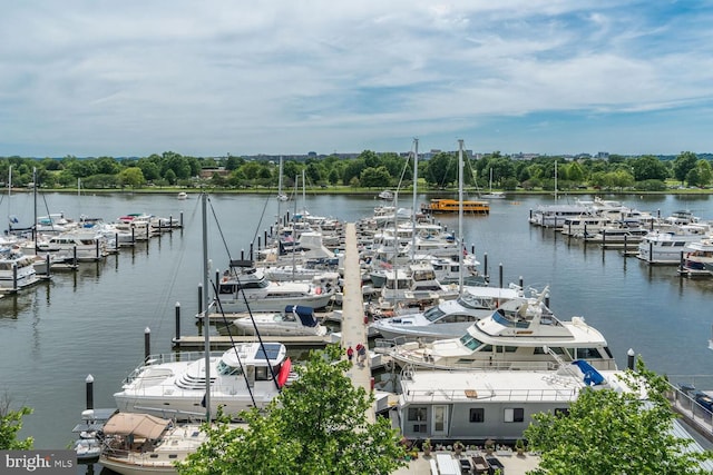 exterior space featuring a dock