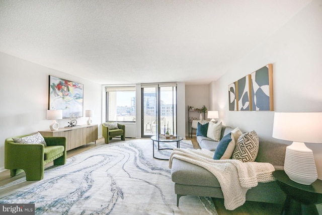 living area featuring a textured ceiling