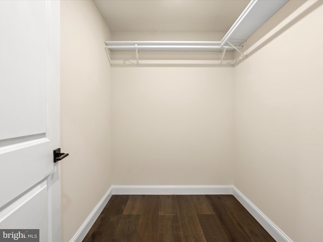 walk in closet featuring dark wood-style flooring