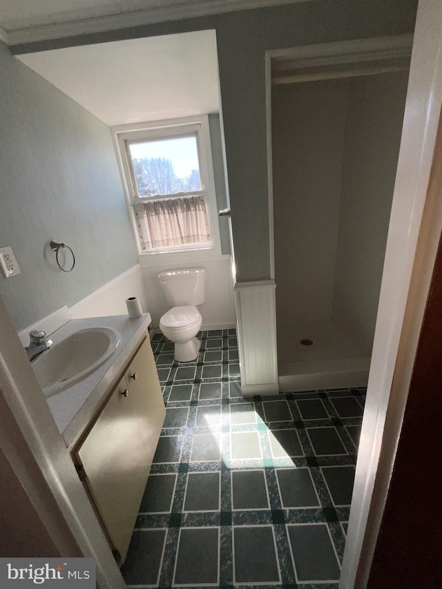 full bathroom with toilet and vanity