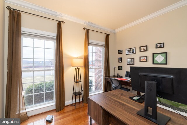 office area featuring ornamental molding, light wood-style floors, and baseboards