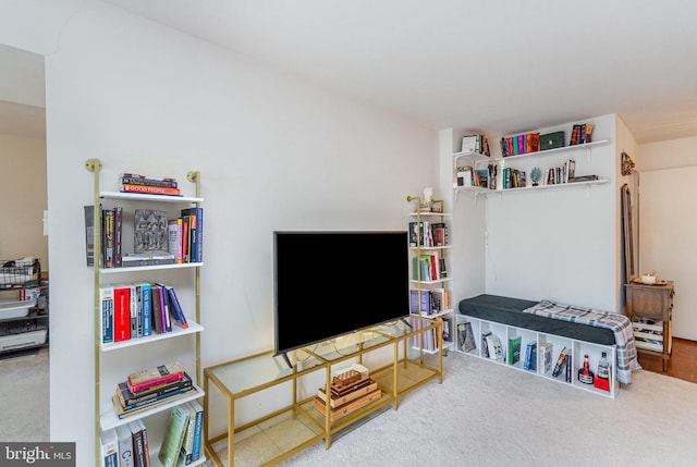 interior space featuring carpet floors