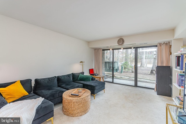 living area featuring carpet flooring