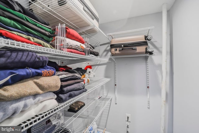 view of walk in closet