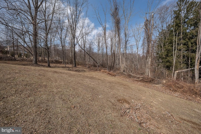 exterior space with dirt driveway