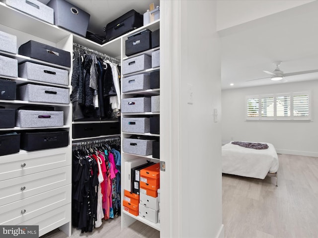 walk in closet featuring ceiling fan and wood finished floors