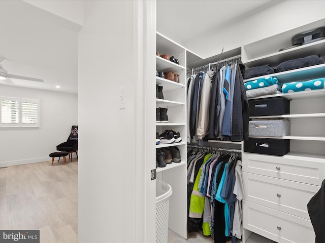 spacious closet with ceiling fan and wood finished floors