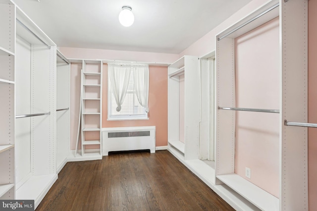 walk in closet with radiator heating unit and wood finished floors