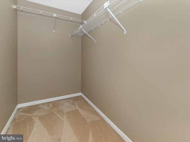 walk in closet with light colored carpet