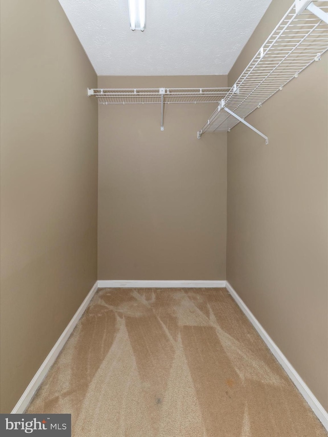 spacious closet featuring carpet floors