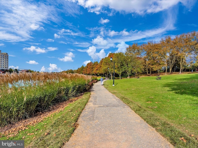 surrounding community featuring a yard