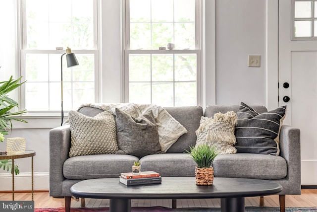 living area featuring baseboards and wood finished floors